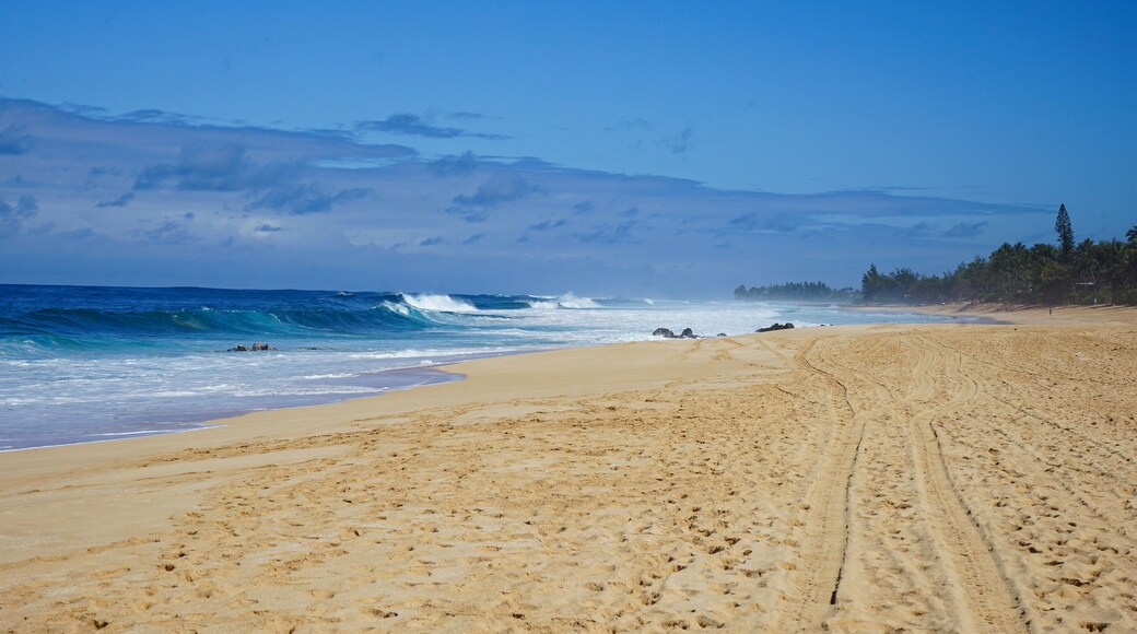 Waves crashing along Sunset Beach, Pupukea, North Shore, Oahu, Hawaii, USA