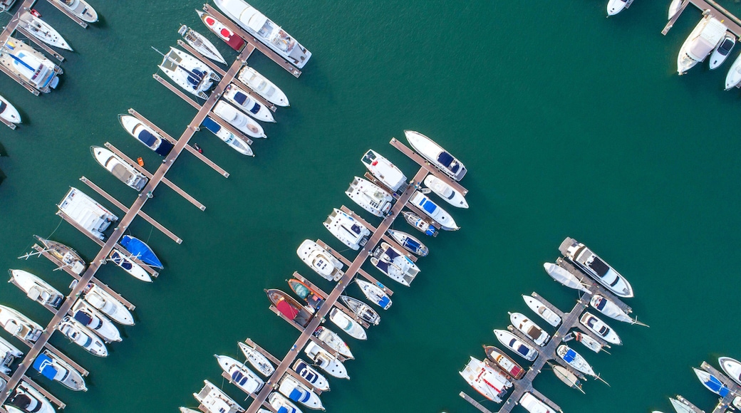 Puerto deportivo Anchorage