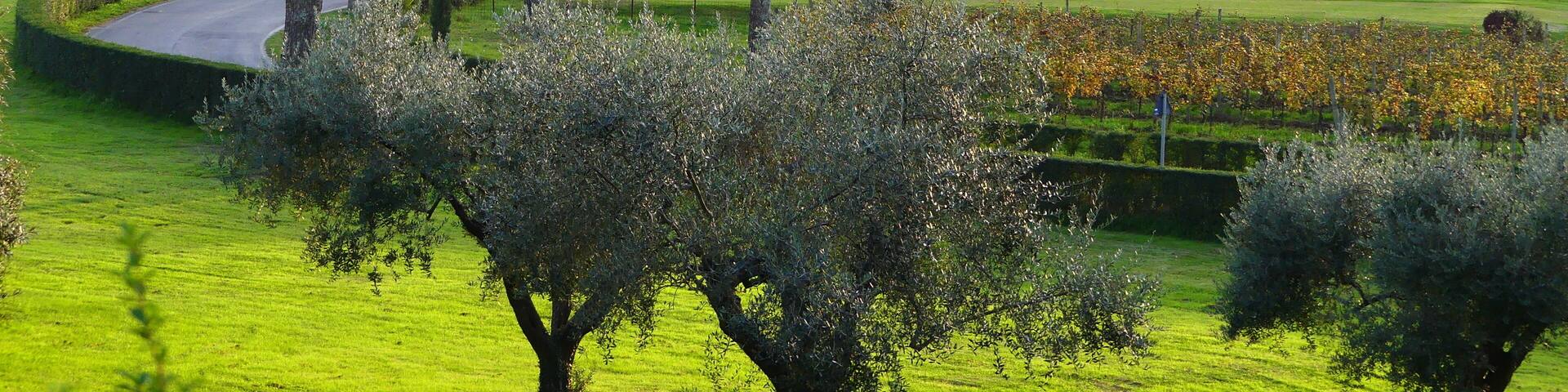 italienische Parklandschaft