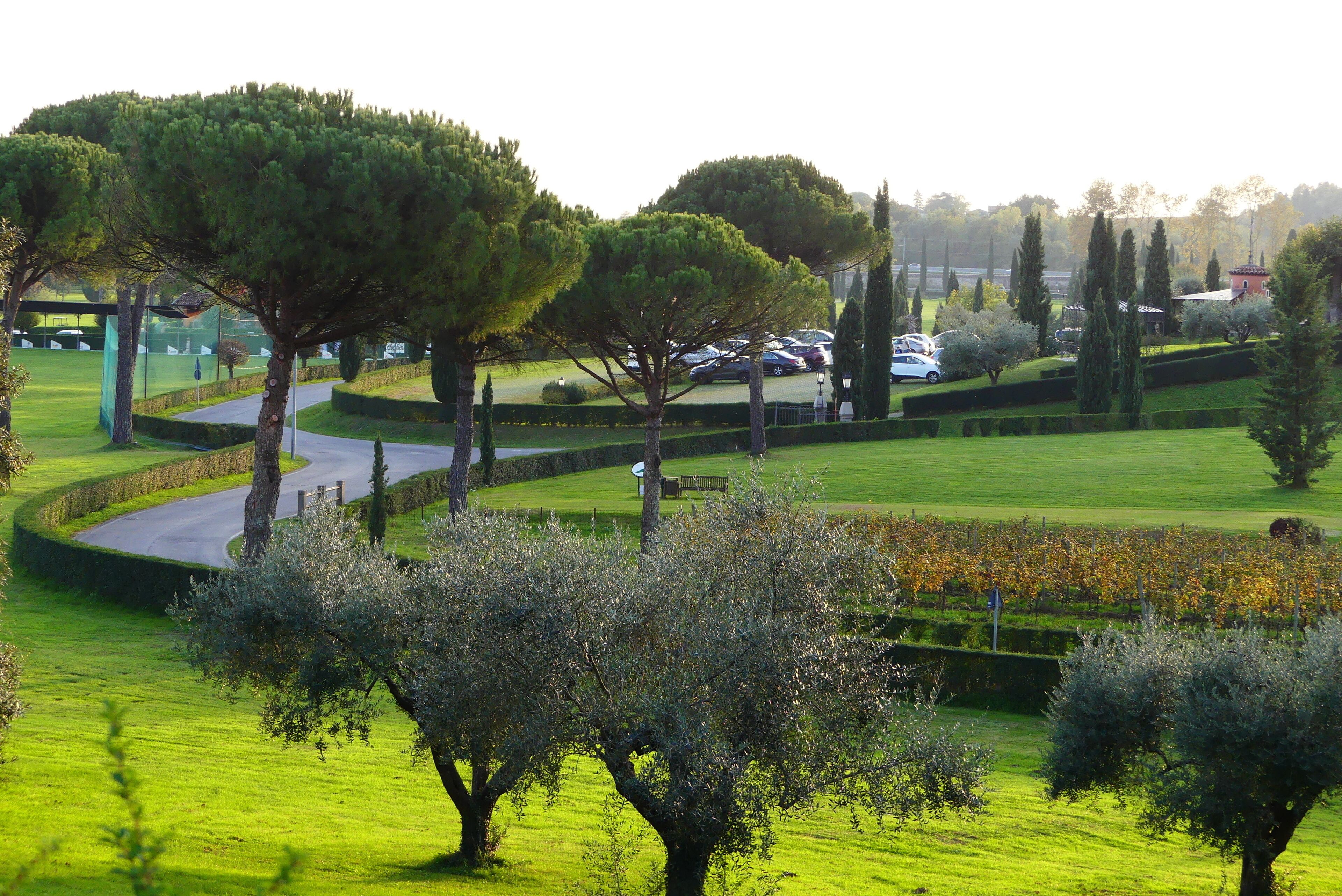 A landscaped park with winding paths, neatly trimmed hedges, and a variety of trees.