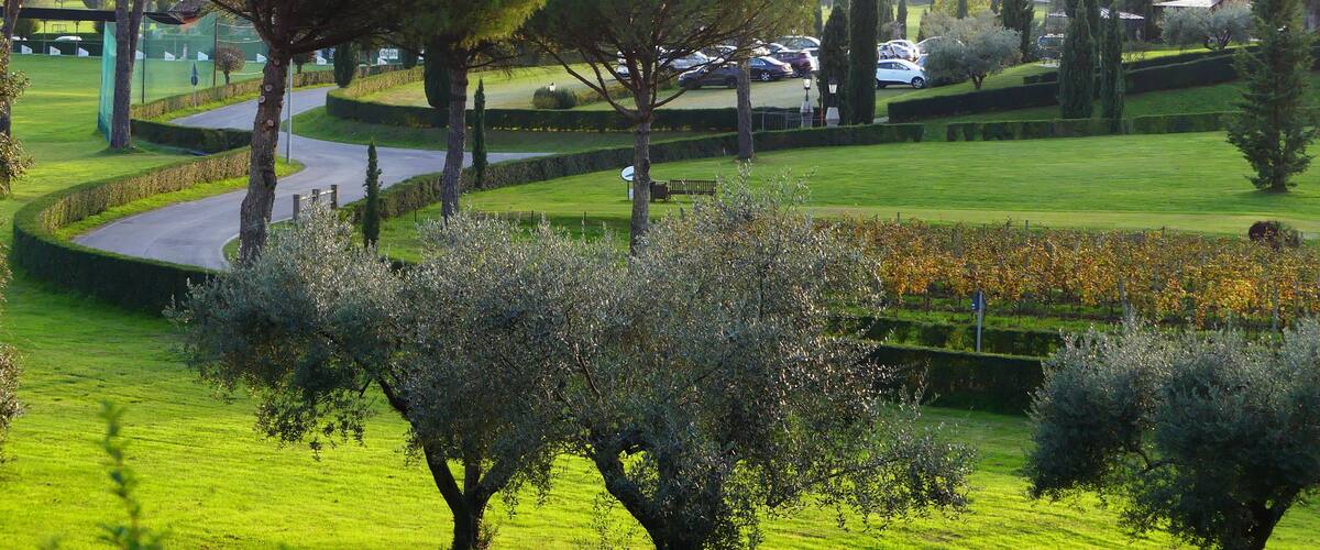 A landscaped park with winding paths, neatly trimmed hedges, and a variety of trees.