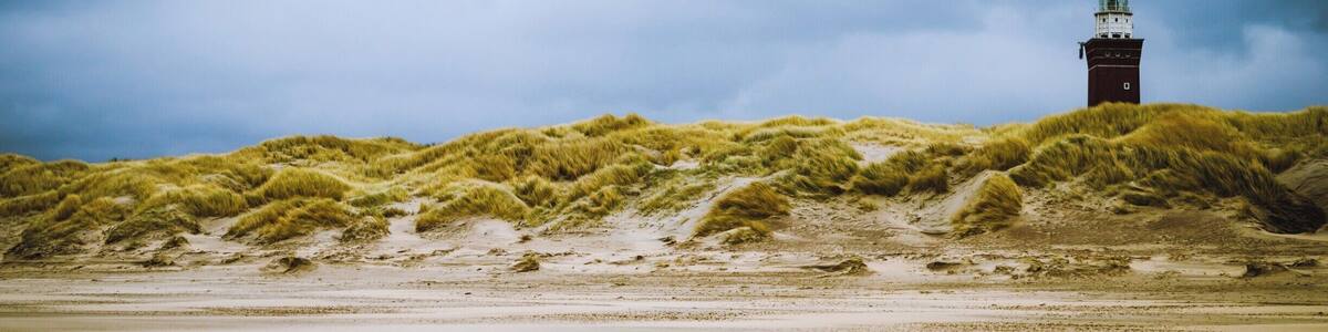 Nice Place. Nice Beach.