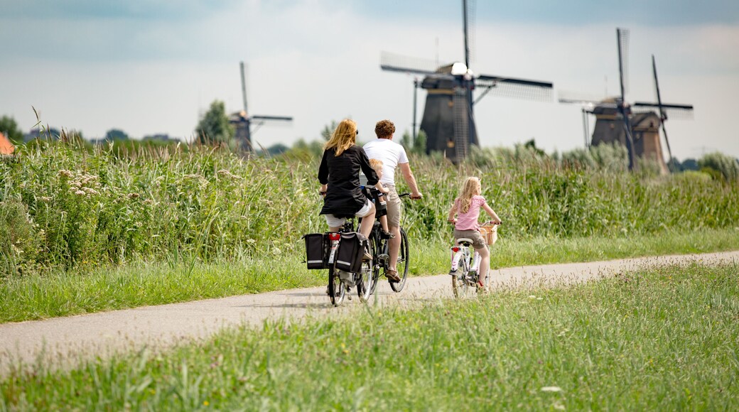 Family on bikes in nature