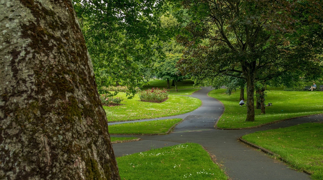 People\'s Park showing a park