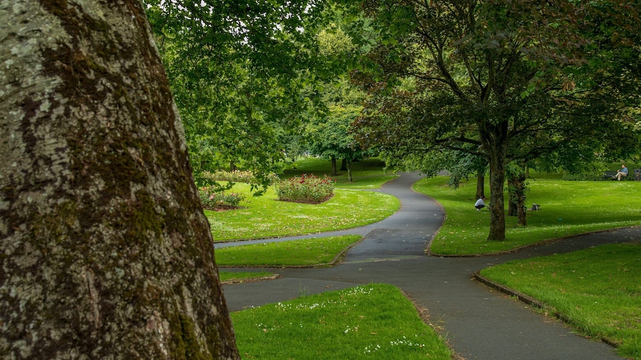 People\'s Park showing a park