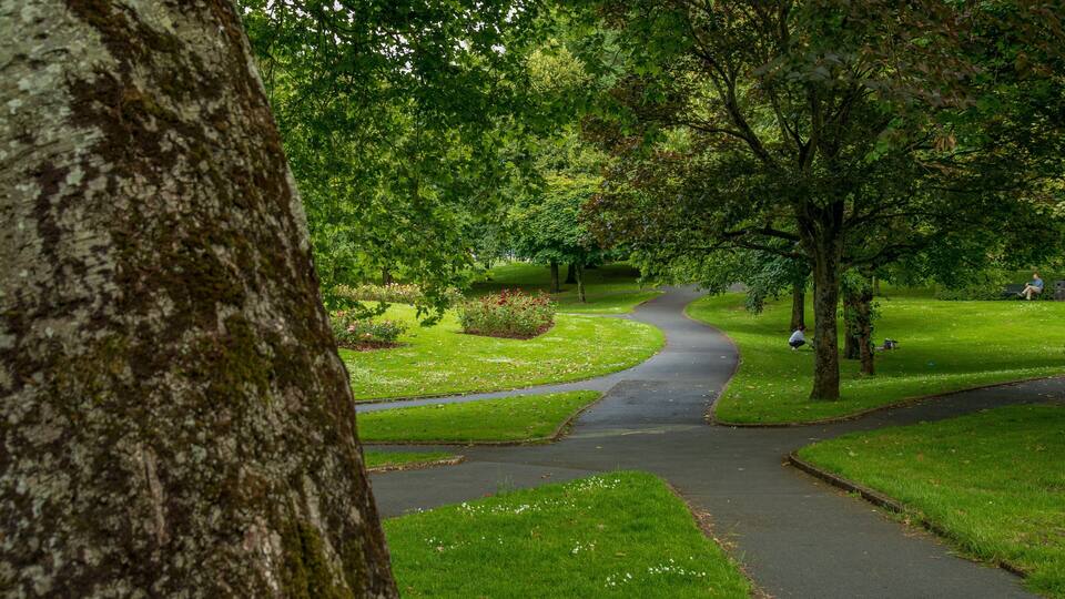 People\'s Park showing a park