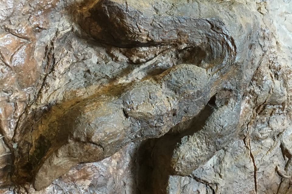 A close-up of a rock formation with a cave entrance.