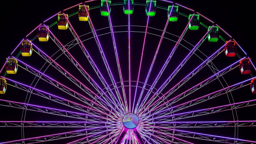 Ferris Wheel 11