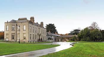 サンディフォード