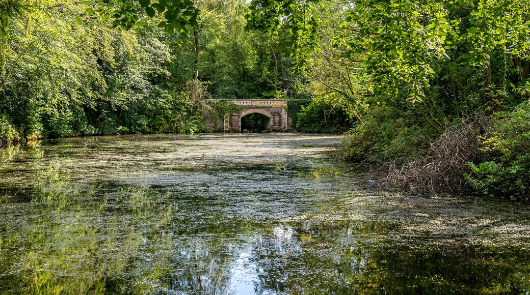Water pond with bridge in Marlay Park.