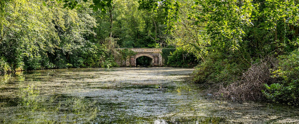 Water pond with bridge in Marlay Park.