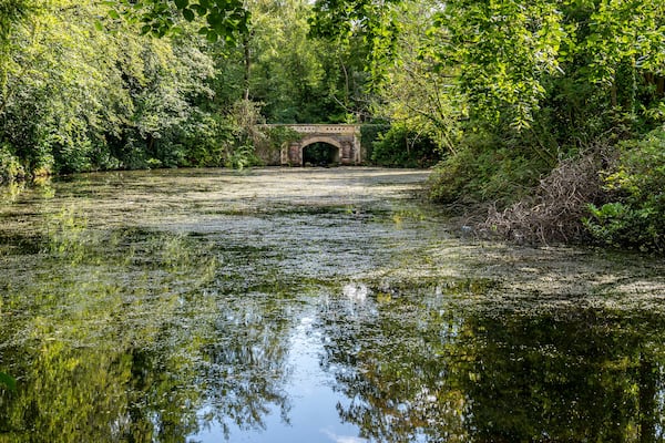 Water pond with bridge in Marlay Park.