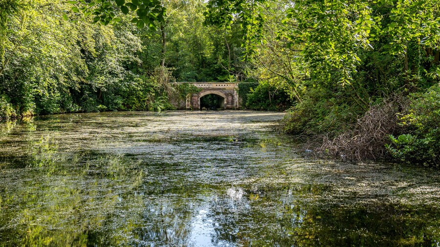Water pond with bridge in Marlay Park.
