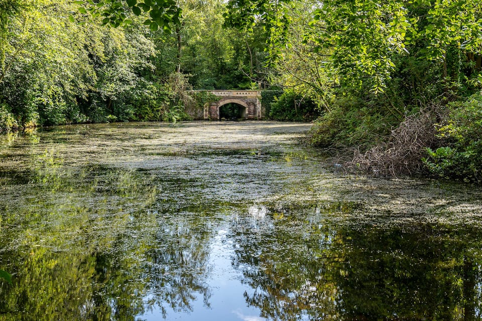 Un pont de pedra sobre un estany envoltat de vegetació abundant.