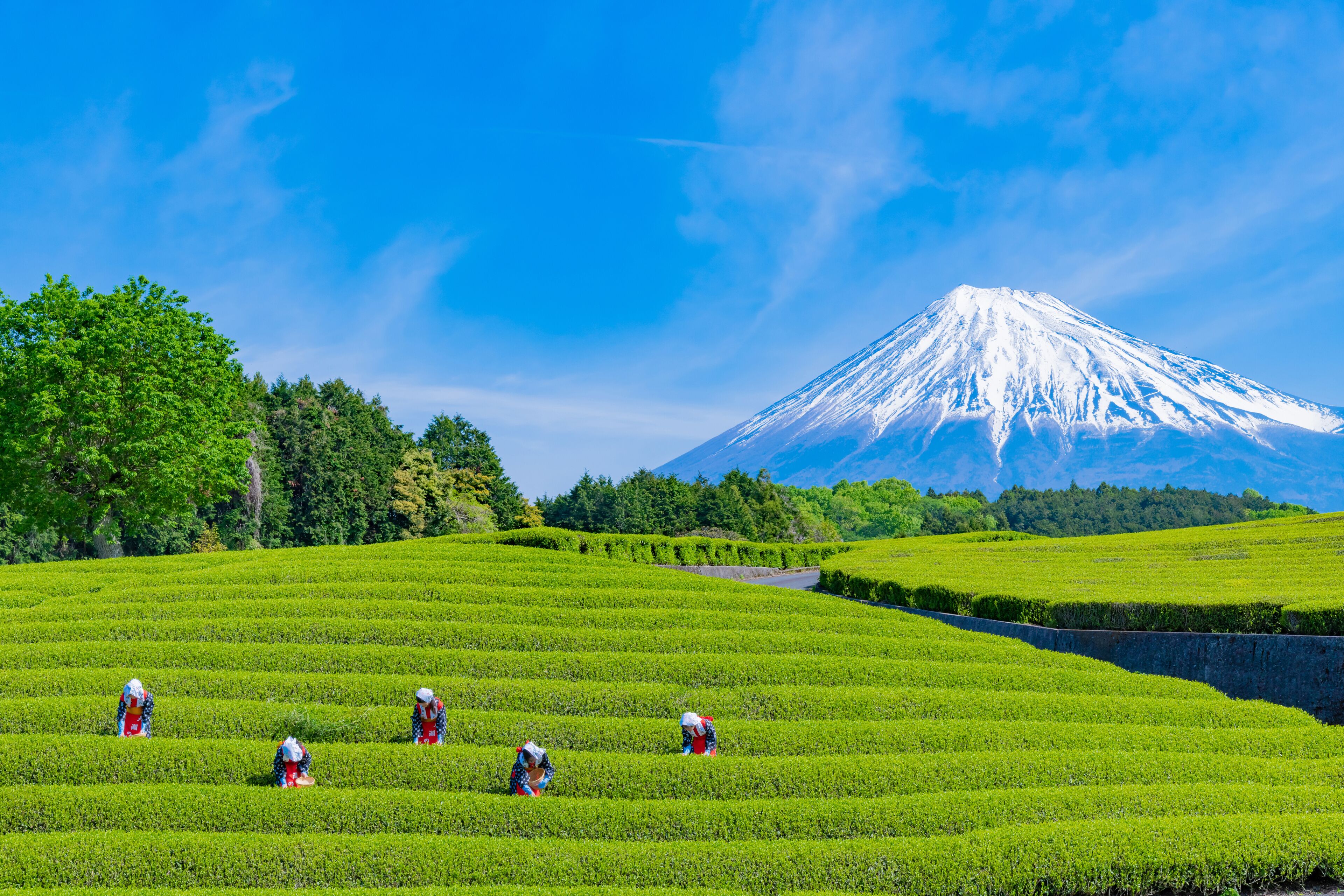 Fuji