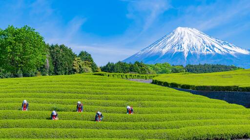 Fuji