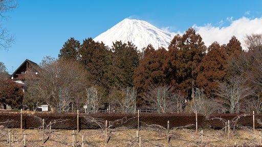 富士市