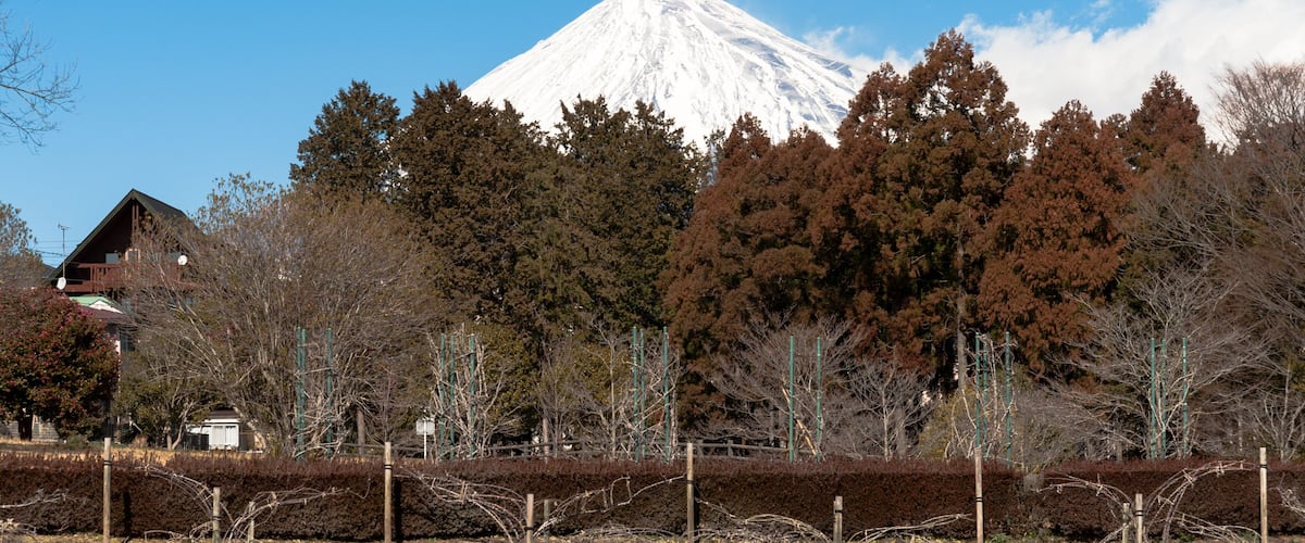 A snow-capped mountain, a residential area with houses, and a forested area with leafless trees.