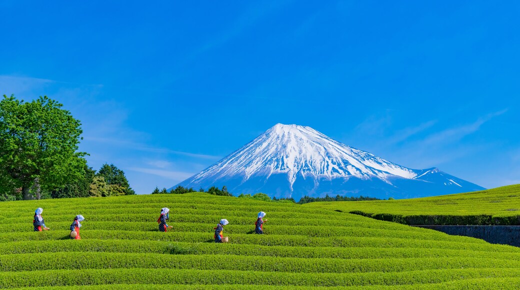 Fuji