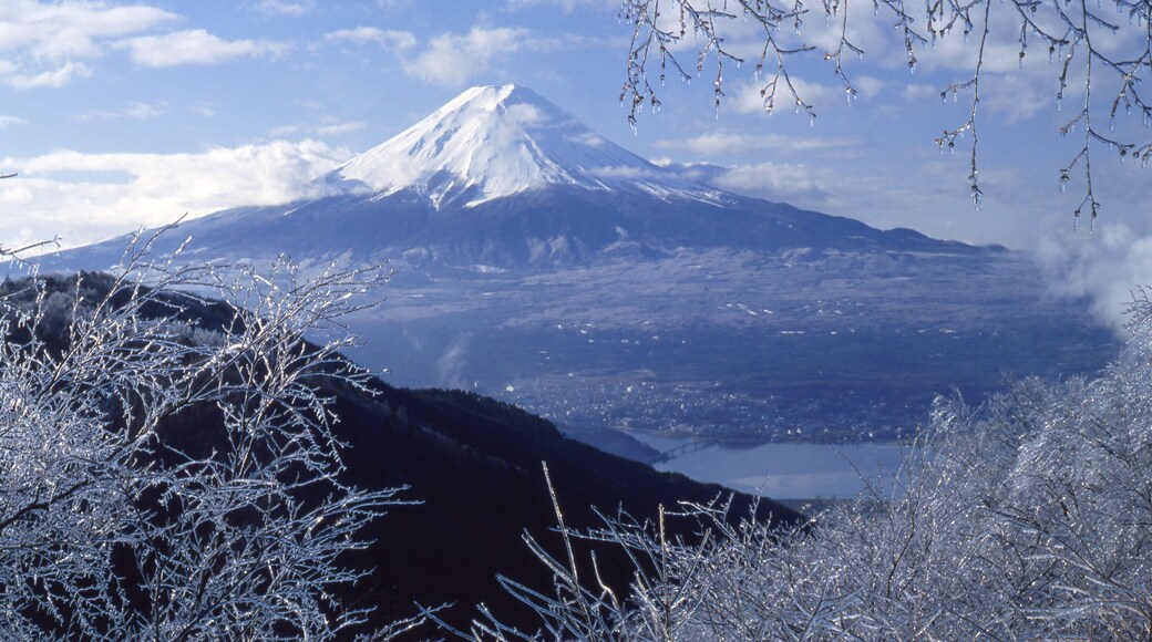 Fuji