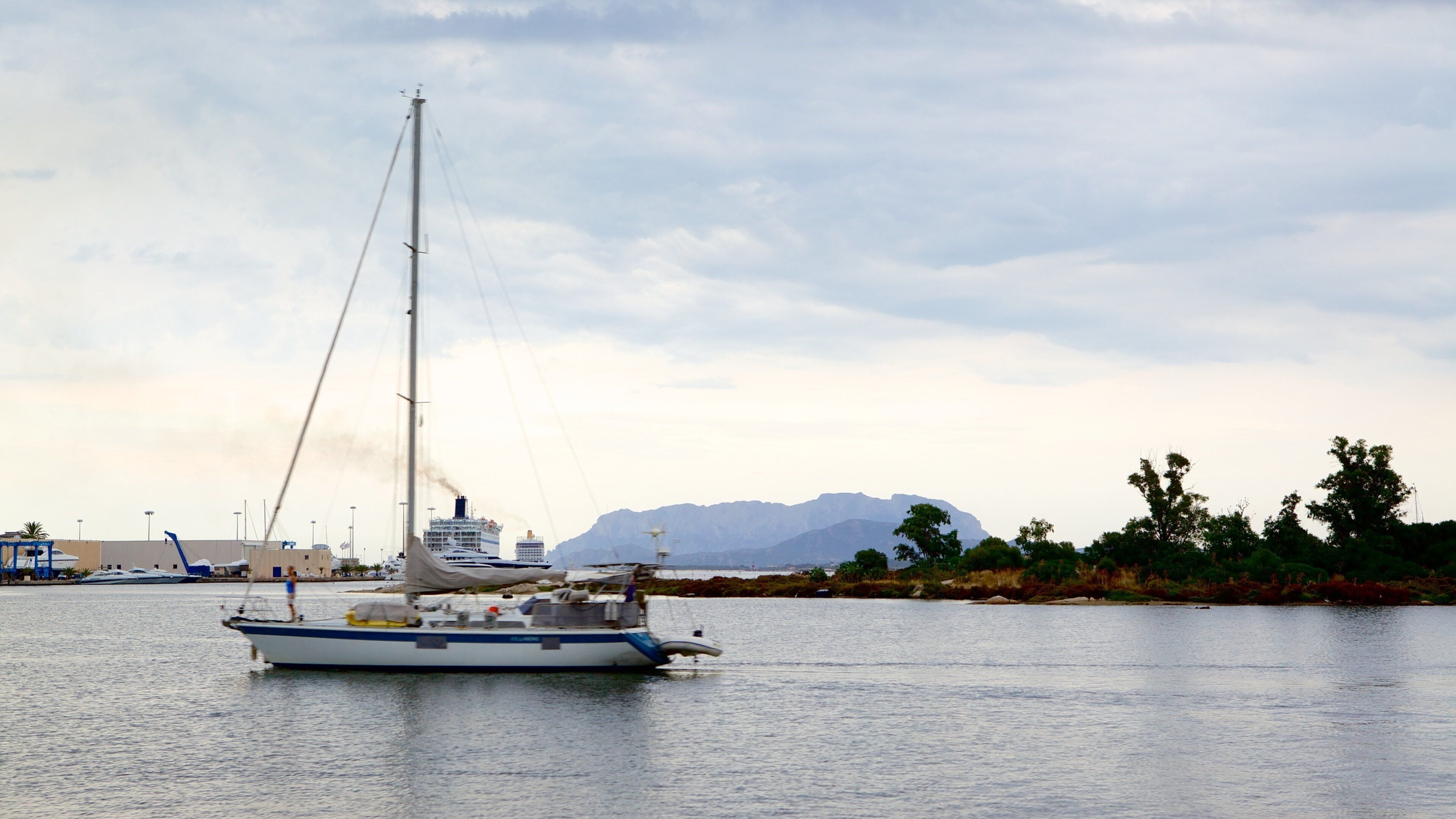 Porto di Olbia mostrando porto turistico e vista della costa