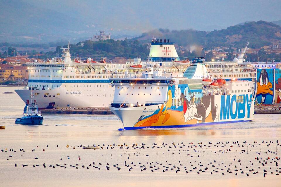 A cruise ship with a colorful mural on its side, docked at a port with a beach in the foreground.