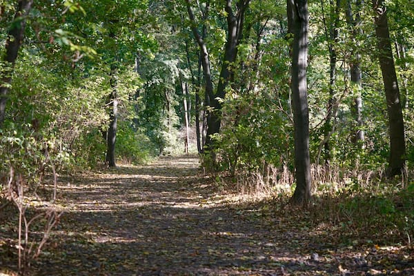 Humboldthain (Berlin)