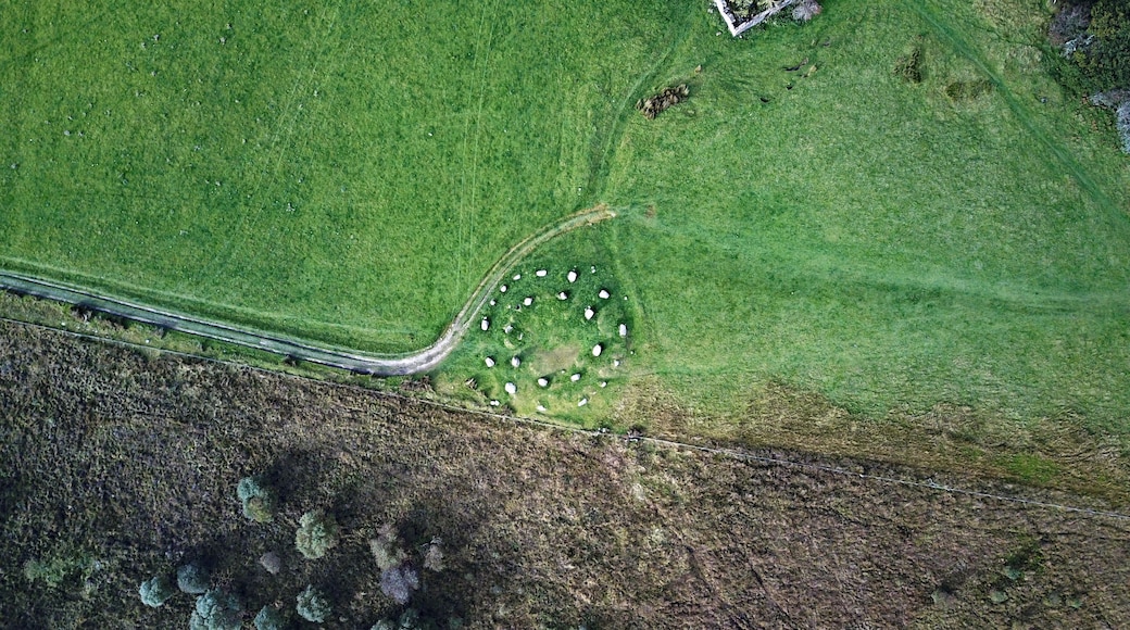 Stone Circles Machrie Moor number 5