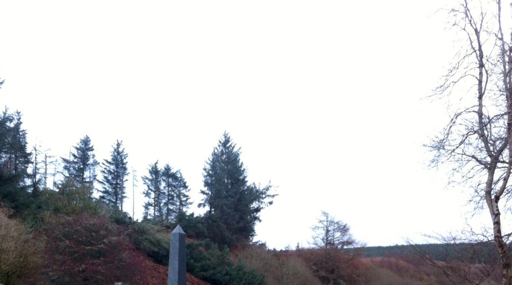 Grave yard right behind our cottage