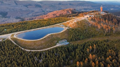 Vista aérea de un lago rodeado de bosques densos, un edificio pequeño y una torre alta.