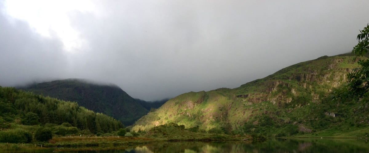 Misty sunrise & solitude