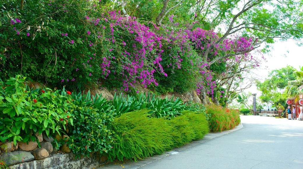 鹿回頭公園 其中包括 花園 和 花朵