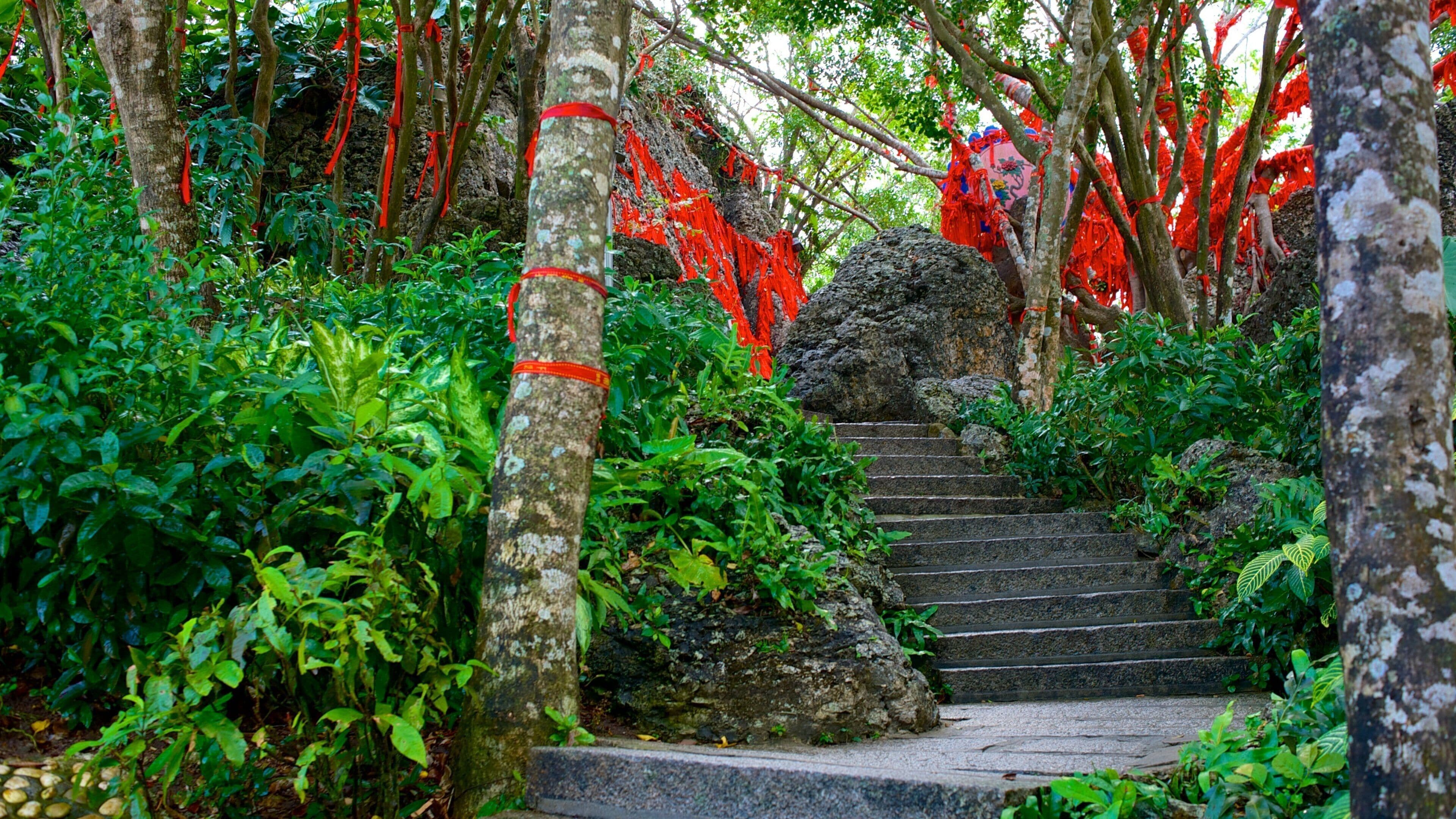Luhuitou Park which includes forest scenes