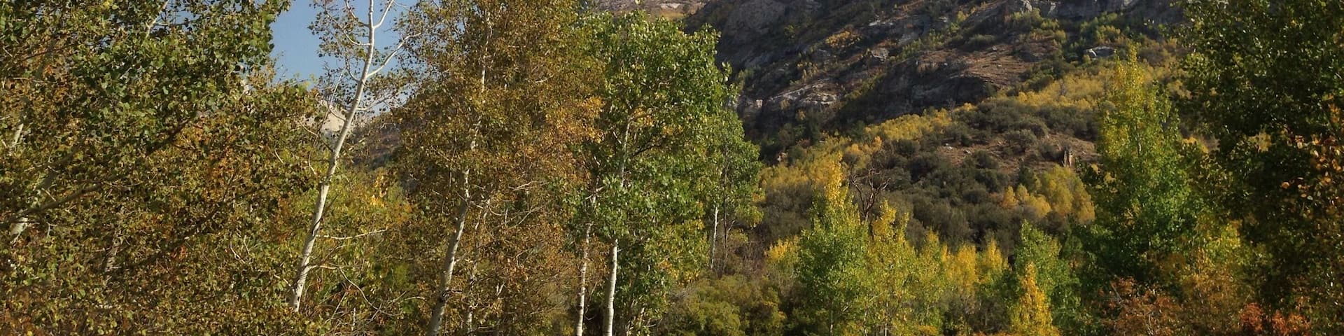 Exploring Thomas Canyon