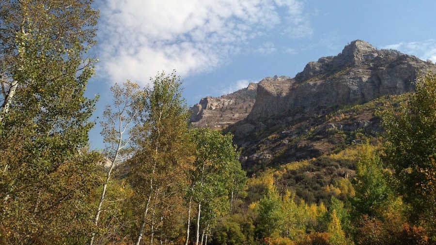 Exploring Thomas Canyon