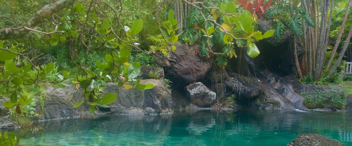 A clear turquoise pool surrounded by lush greenery and rocks.