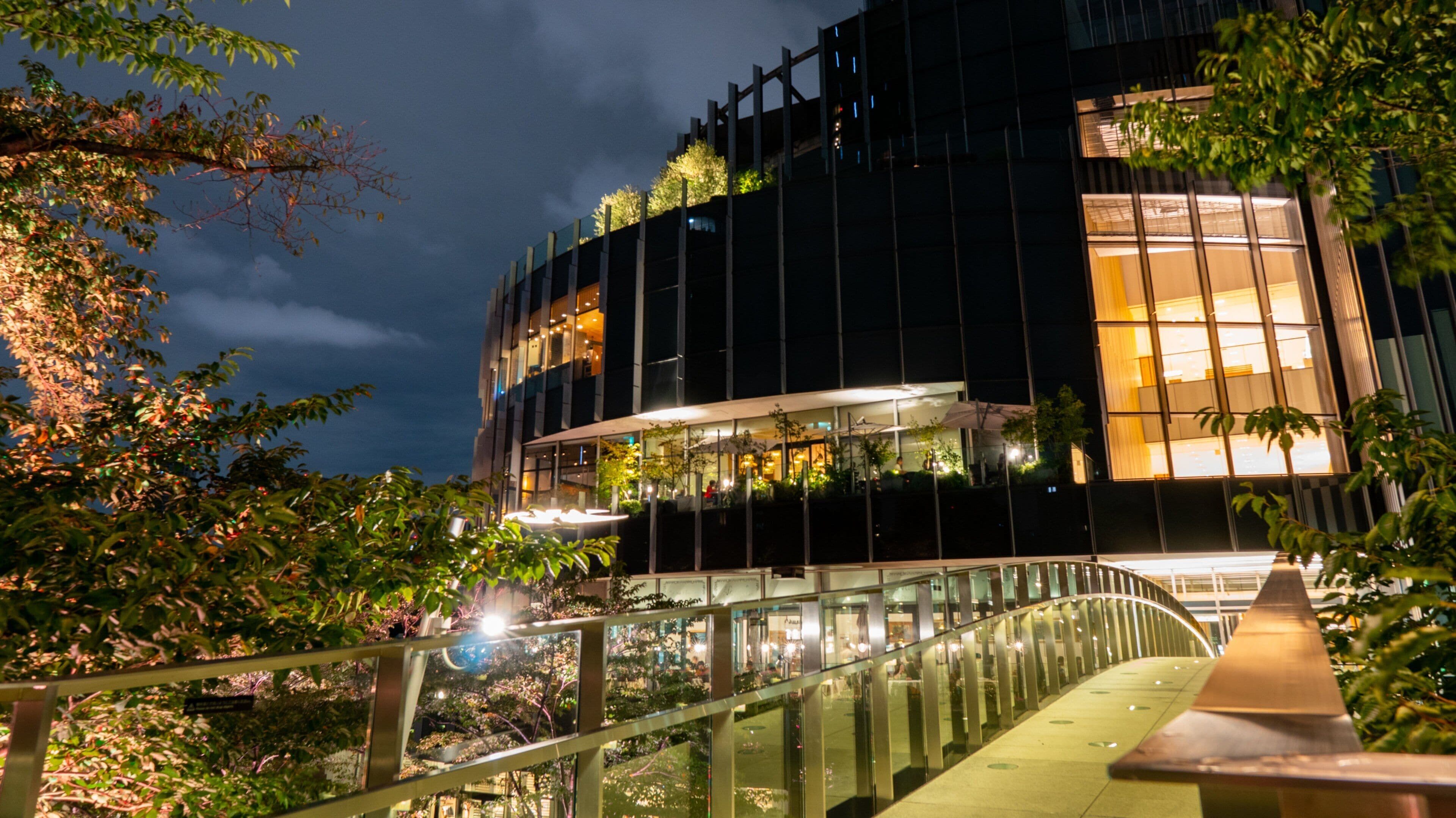 Tokyo Midtown showing night scenes and a bridge