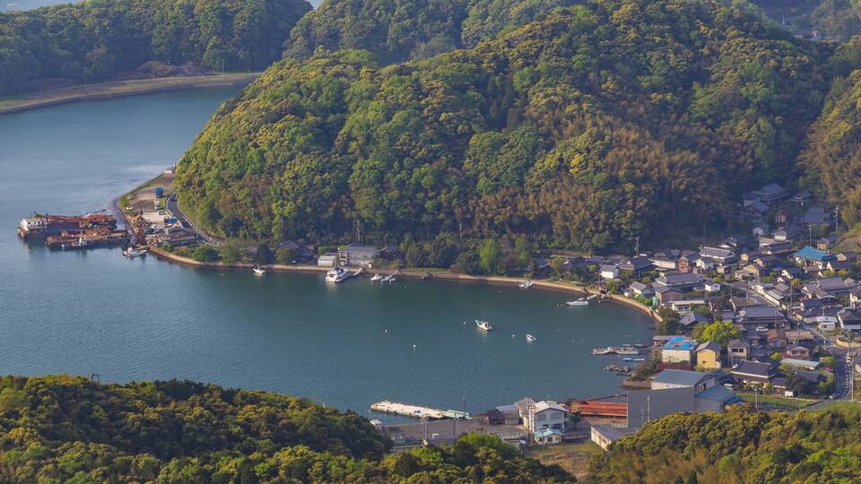 A coastal town with dense forested hills, a marina with boats, and residential buildings.