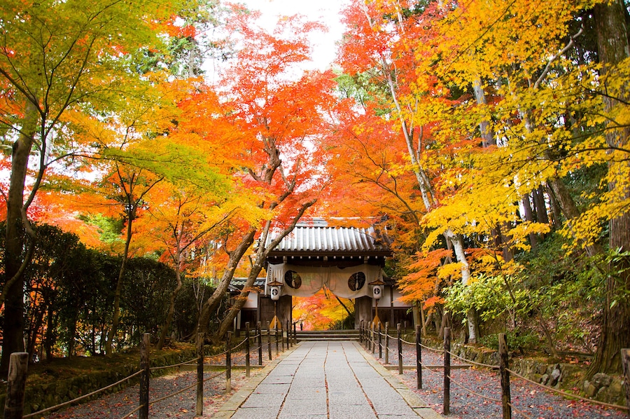 Komyoji, Nagaokakyo, Kansai, Japan