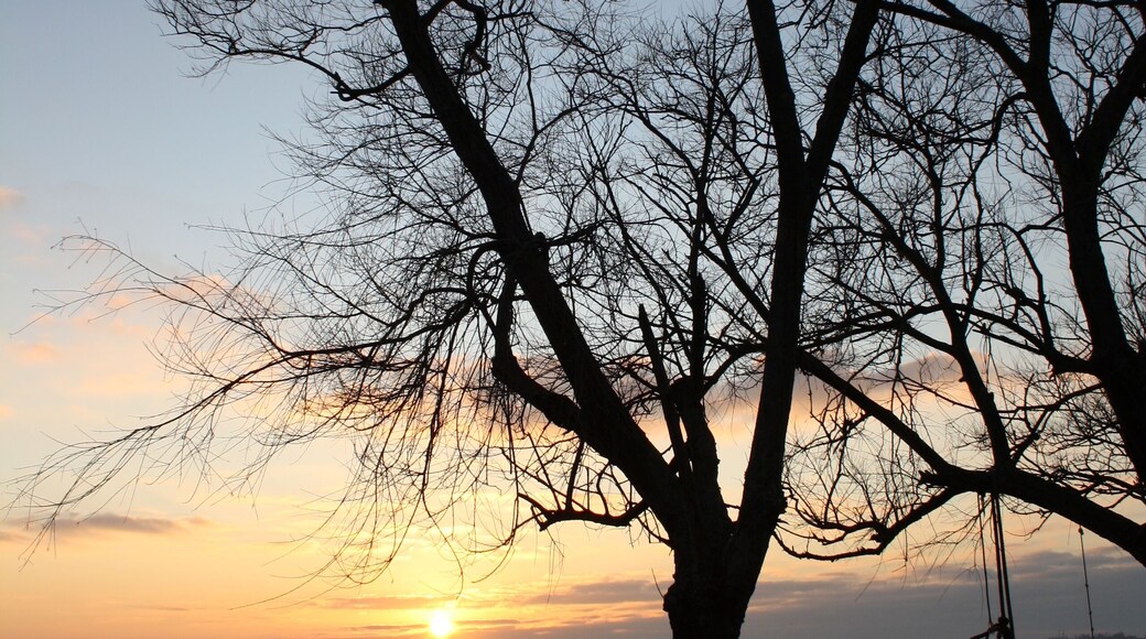 La Ria de Arousa al atardecer.