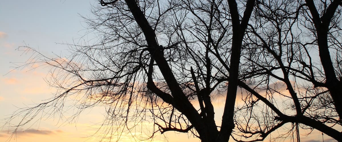 La Ria de Arousa al atardecer.