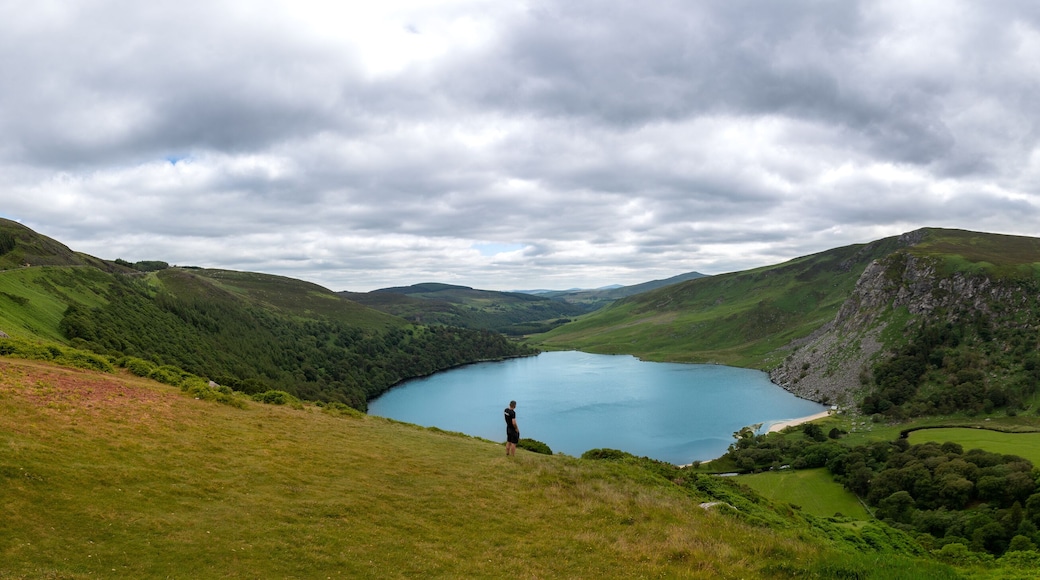 위크로우 마운틴 국립 공원