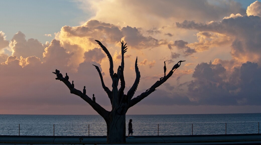 Angel Tree Mississippi Sound Bay Saint Louis MS