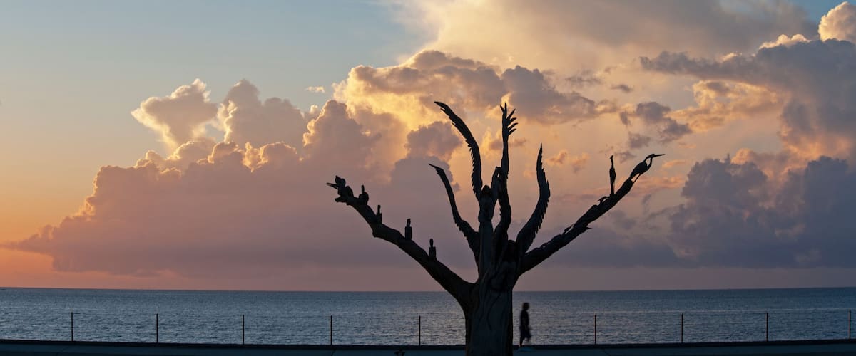 A tree sculpture with multiple branches and figures on it, set against a sunset sky with clouds and the ocean in the background.