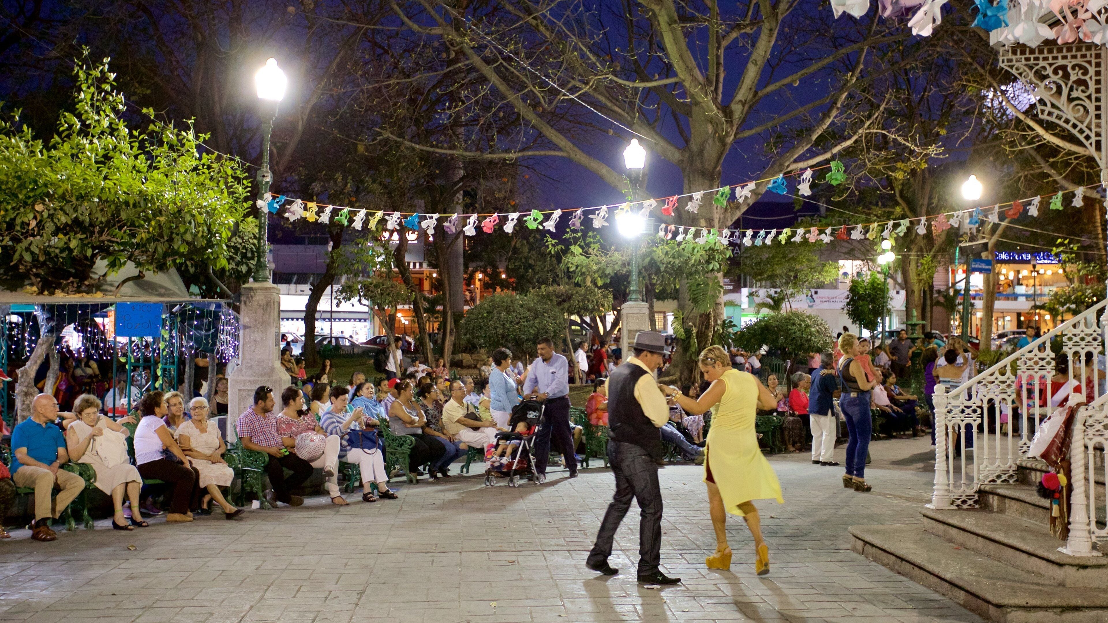 Marimba Park featuring a park, street performance and night scenes