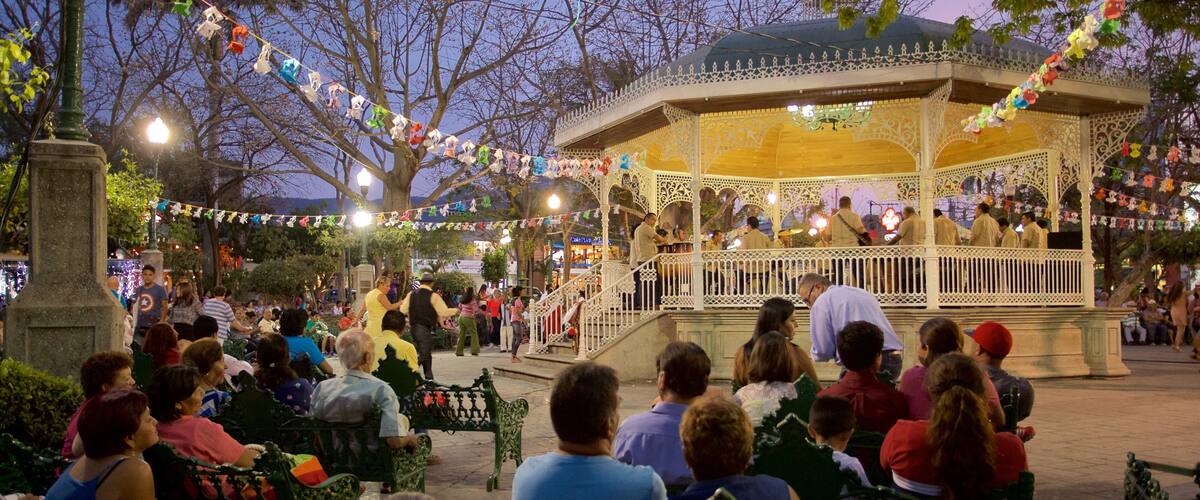 マリンバ パーク フィーチャー 夜景, ストリート パフォーマンス と 公園