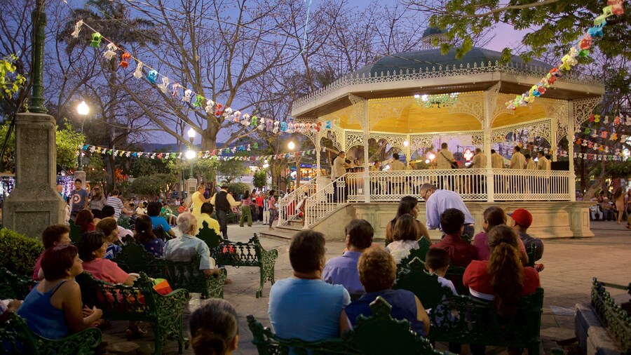 Marimba Park showing a park, night scenes and street performance
