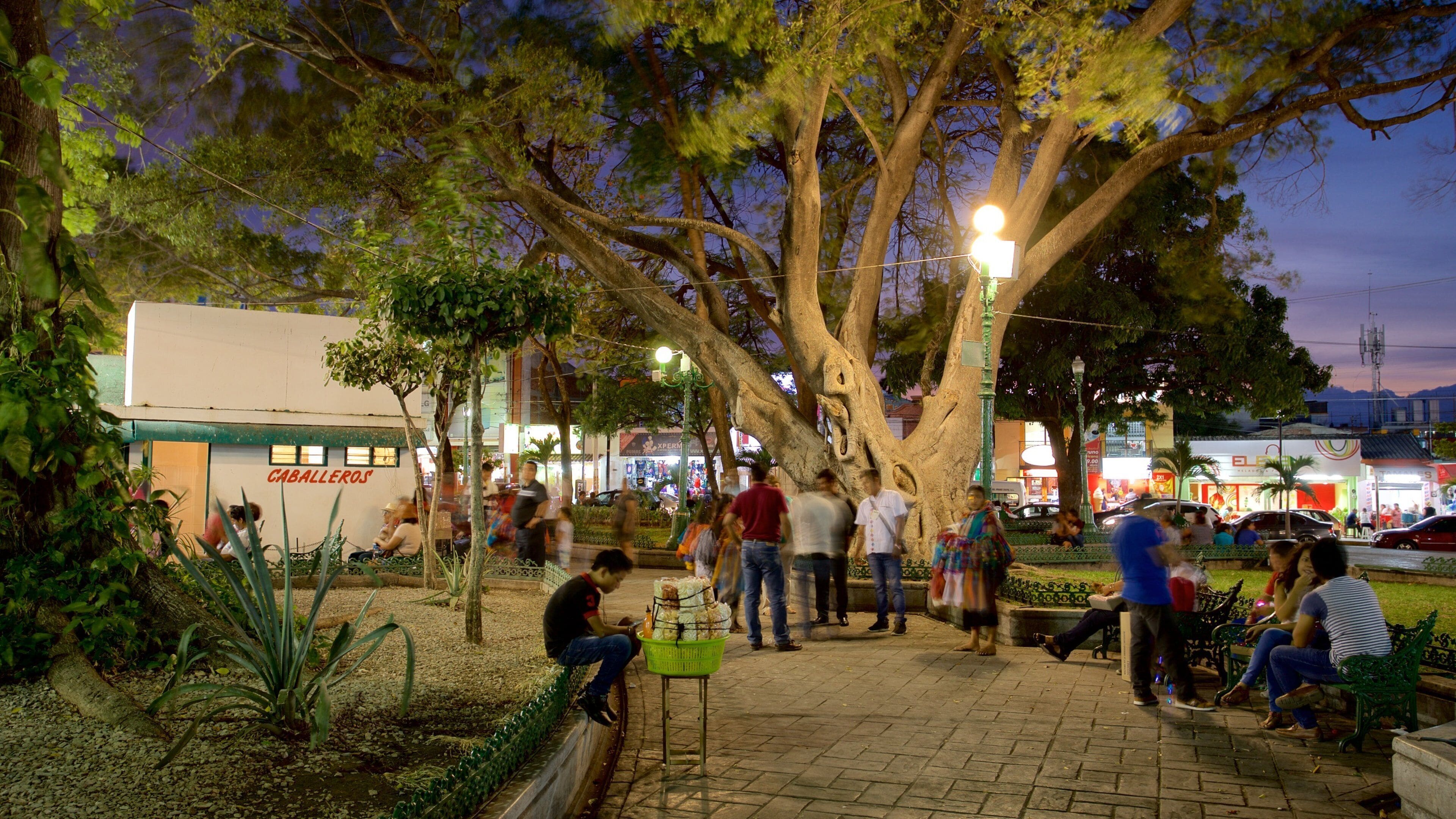Parc Marimba montrant jardin et scènes de nuit aussi bien que petit groupe de personnes
