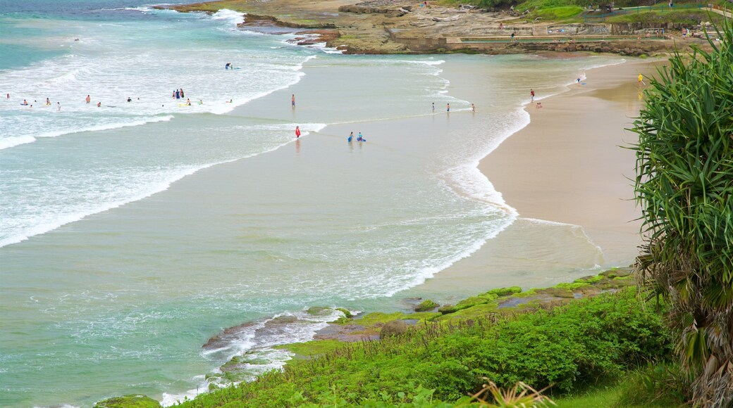 Yamba Beach which includes a sandy beach