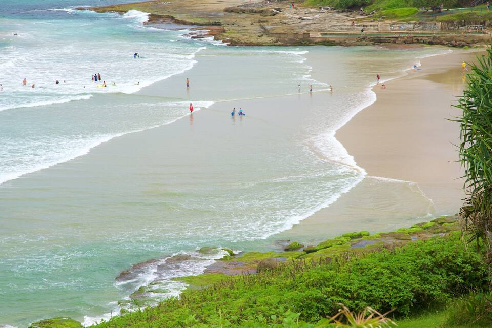 Una playa con olas, gente y vegetación.